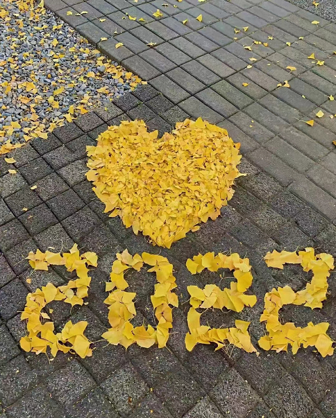 微信图片_20221108164557.png